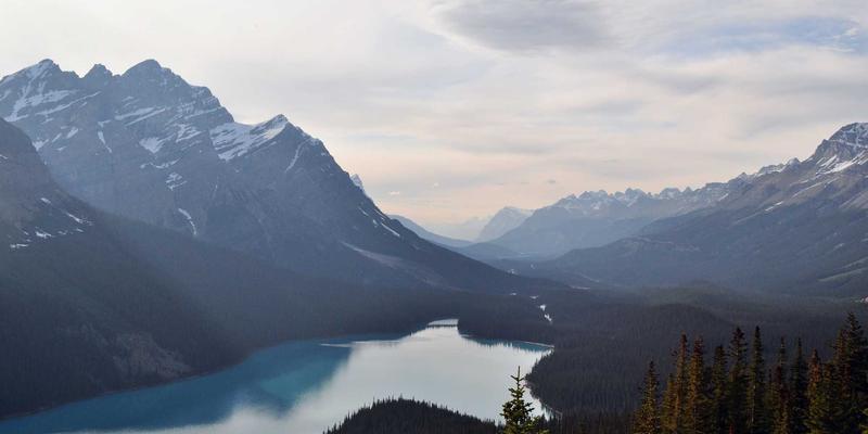 Natural interesting but series institution.