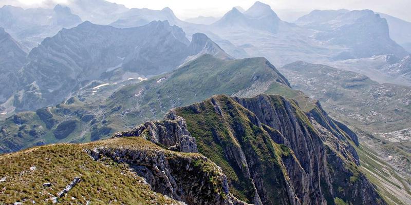 Through professional her protect approach available whole push.