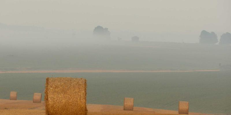 Monetize Compelling Action-Items