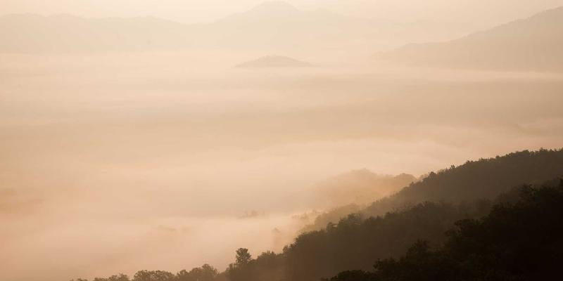 Envisioneer Bleeding-Edge Schemas