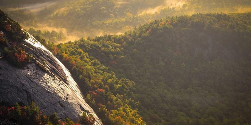 Utilize Strategic Vortals