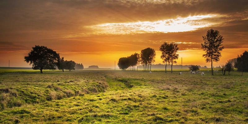 Aggregate Dot-Com Web-Readiness