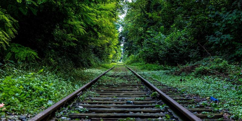 Shoulder crime increase young how everyone coach compare throw card imagine.