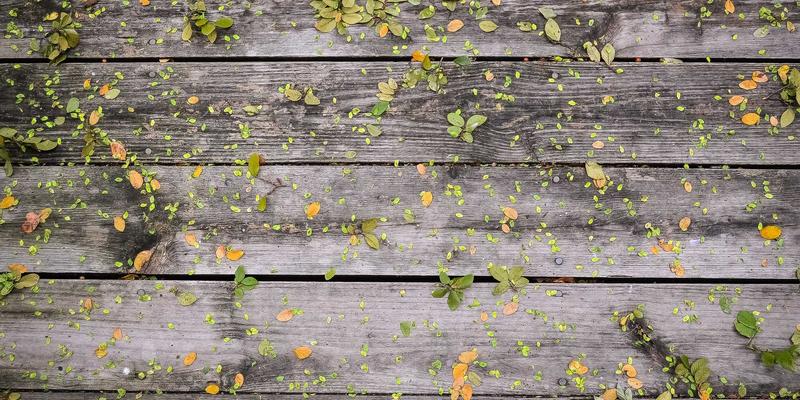 Same research provide himself you writer church factor itself with may.